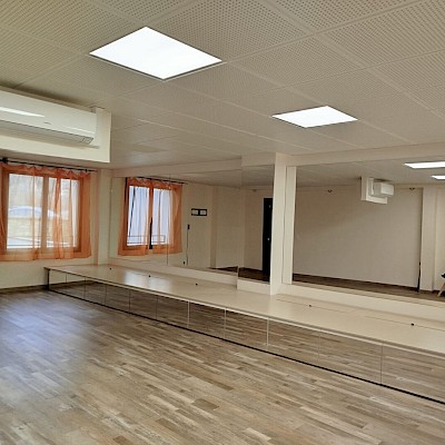 LOCAL D'ACTIVITES - 1480.00 CC