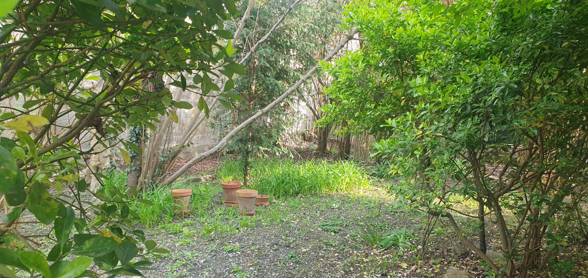 Terrain Colombes 198 m2